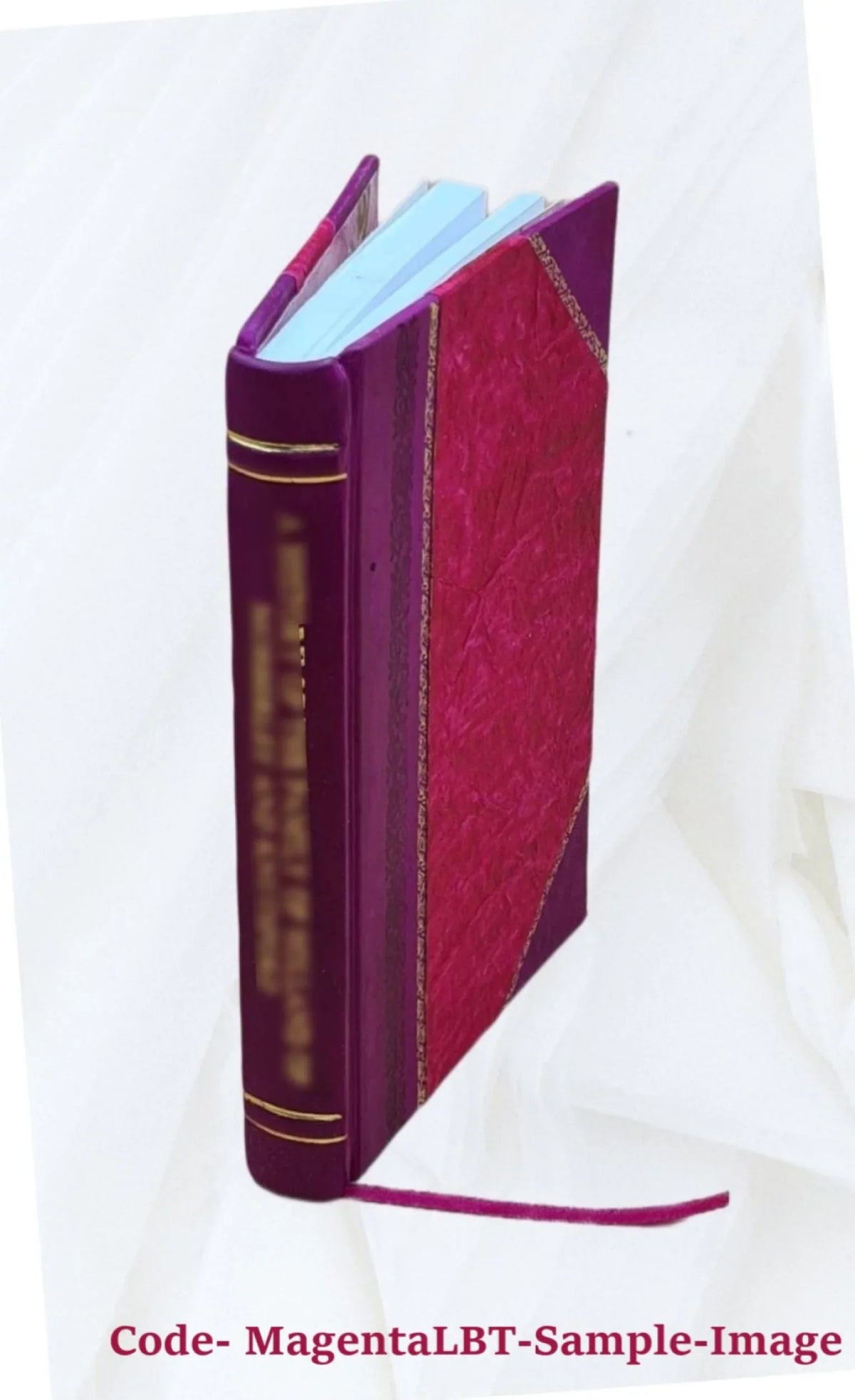 Understanding fiscal policy / [Frank de Leeuw] ; The Congress of the United States, Congressional Budget Office. 1978 [Leather Bound]