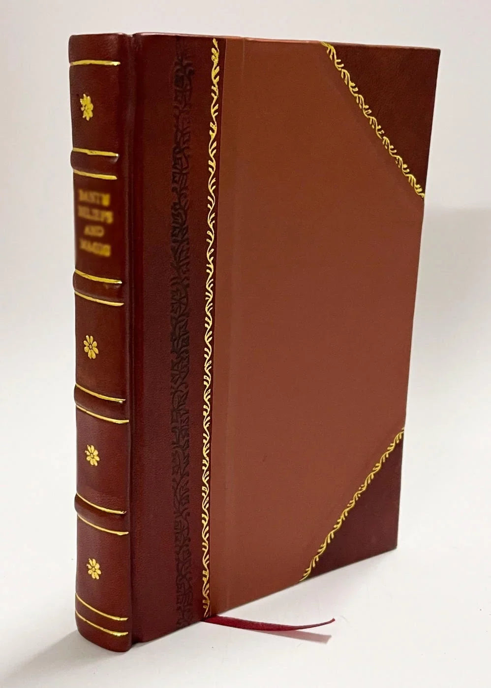 Jo. Casperis Malschii Illustr. Gymnas, Durlac. Prof. Elegorum Juvenilium Monobiblos. Accessit Caput Dissertationum Quarundam De Spiritu Poetarum (1702) [Leather Bound]
