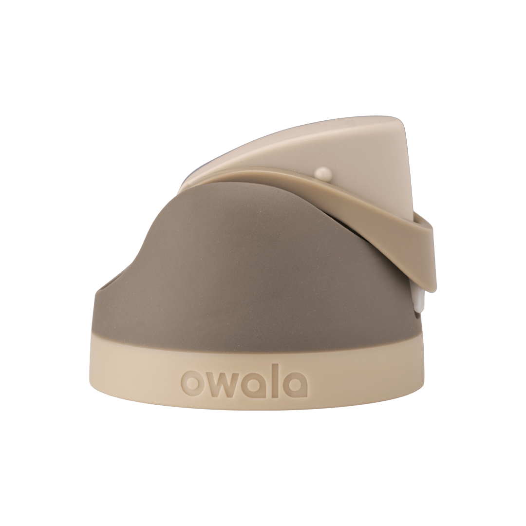 Brunch Bunch
