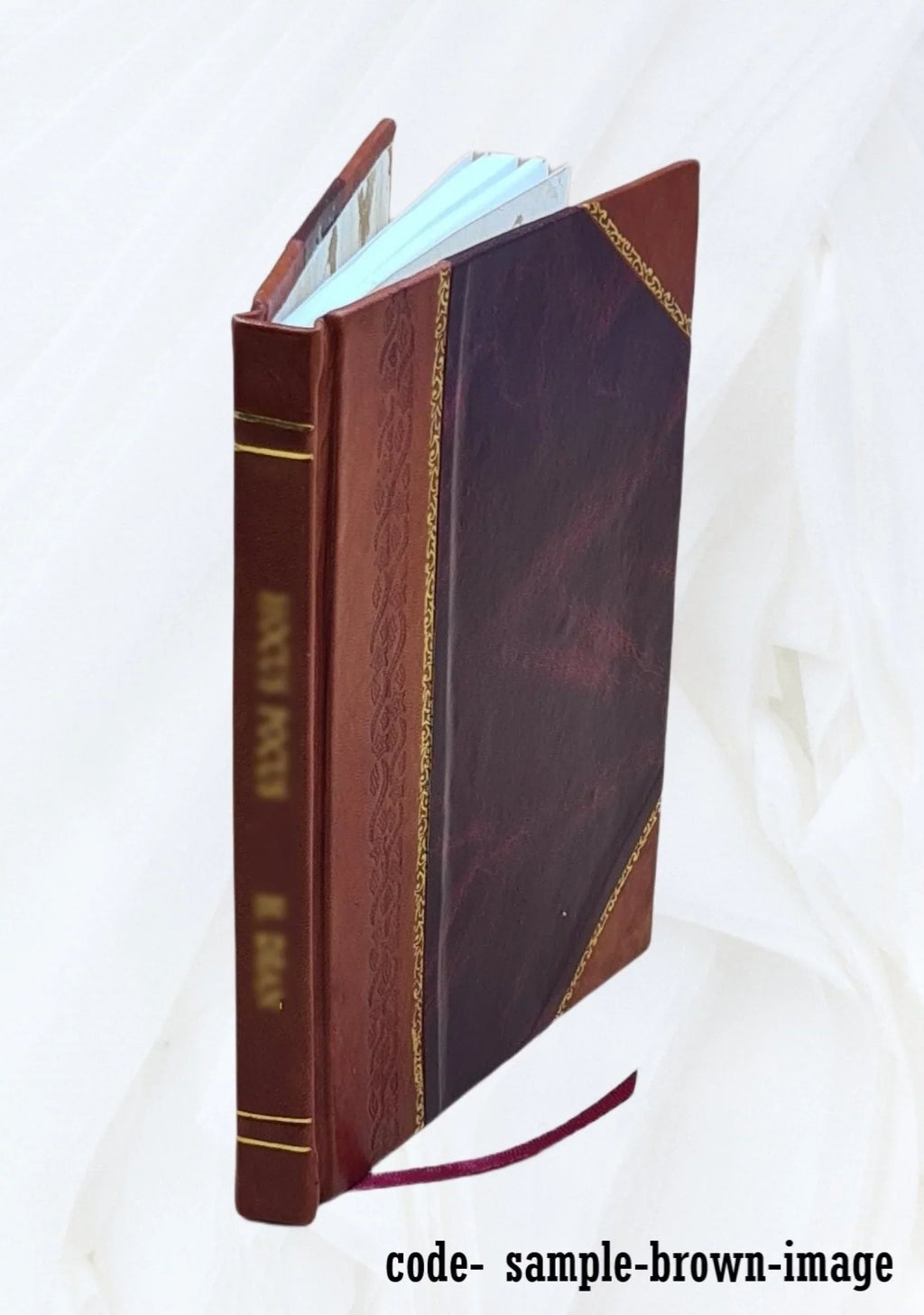 Chemin de Lévis et Kennebec : réfutation de la brochure de C.A. Scott 1877 [Leather Bound]